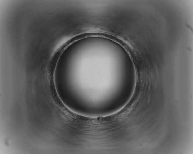 X0000098211311200804241311