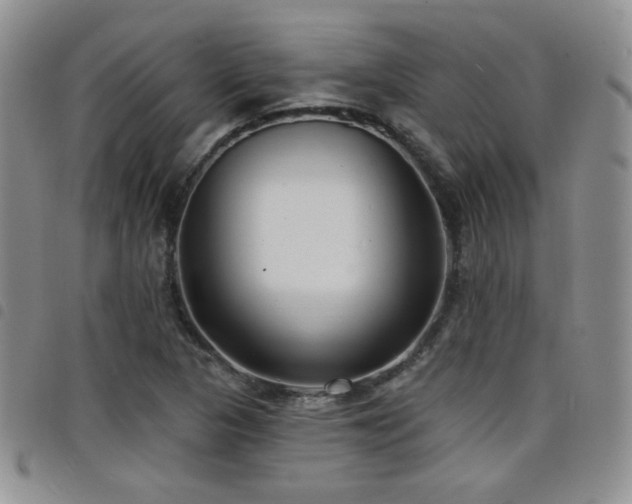 X0000098211313200804241311