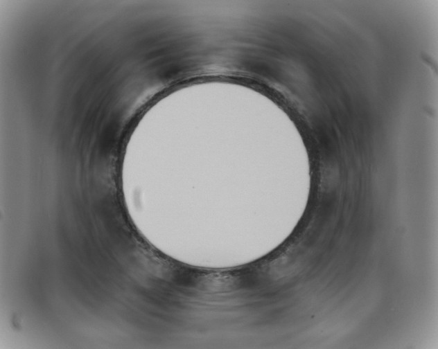 X0000098211314200804241311