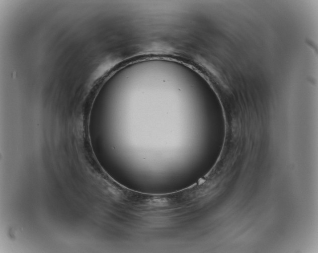 X0000098211315200804241311