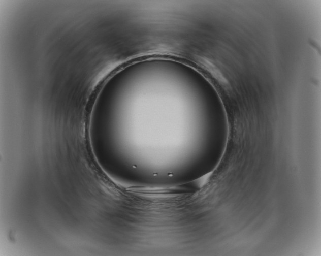 X0000098211316200804241311