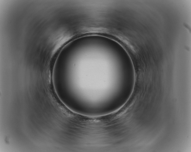 X0000098211317200804241311
