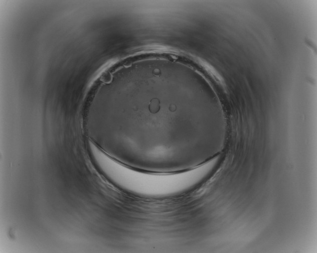 X0000098211318200804241311