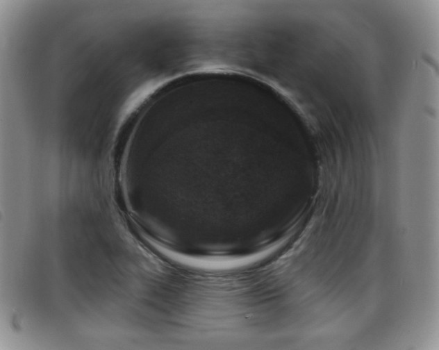 X0000098211319200804241311