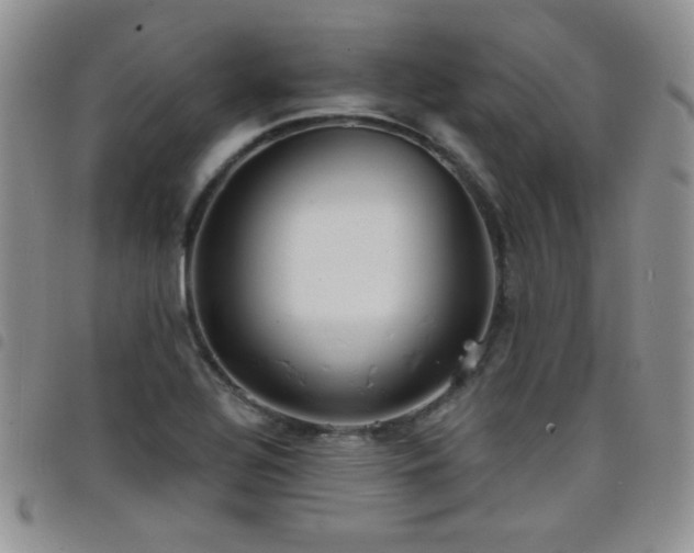 X0000098211320200804241312