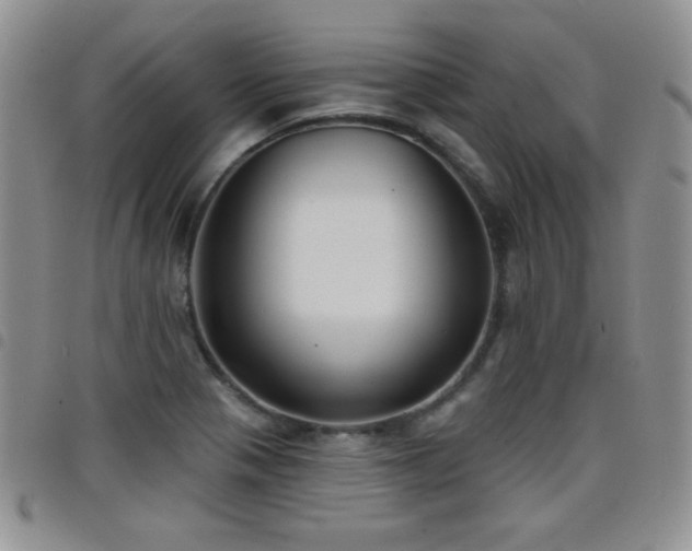 X0000098211321200804241312