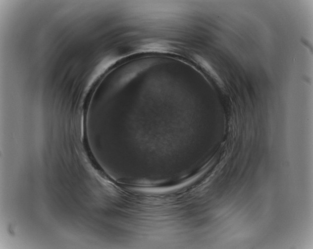 X0000098211323200804241312
