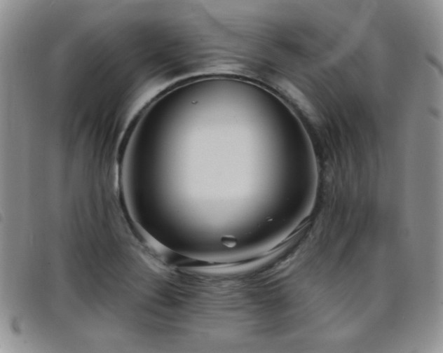 X0000098211324200804241312