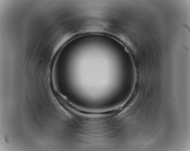 X0000098211325200804241312