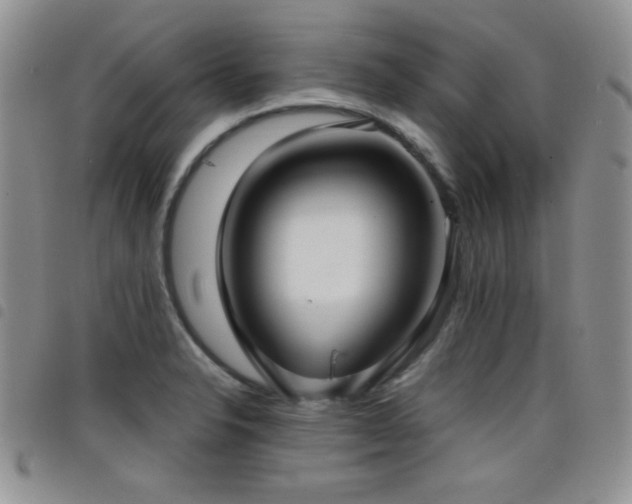X0000098211326200804241312