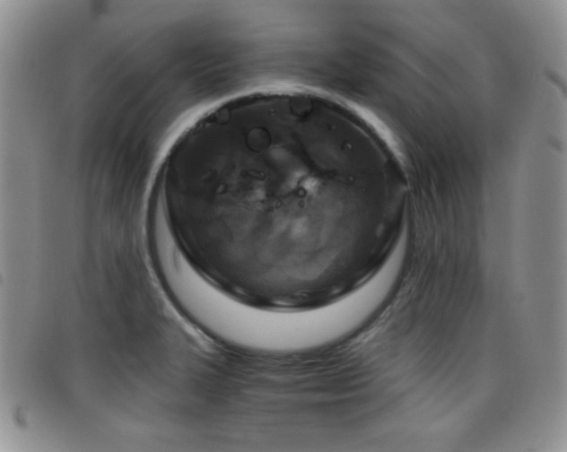 X0000098211327200804241312