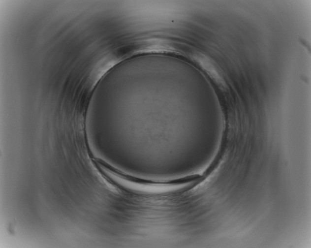 X0000098211329200804241312