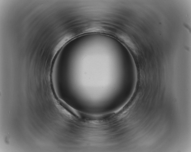 X0000098211330200804241312