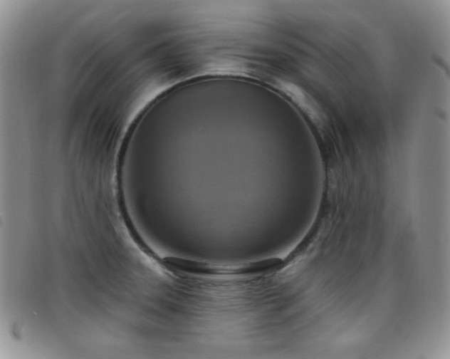 X0000098211331200804241312