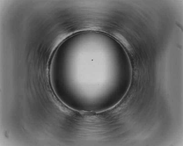 X0000098211332200804241312