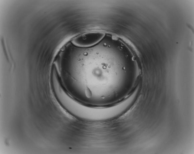 X0000098211333200804241312