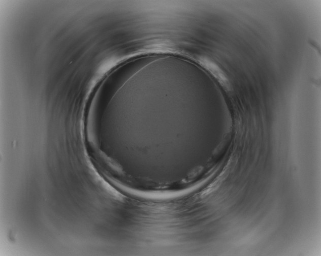 X0000098211334200804241312