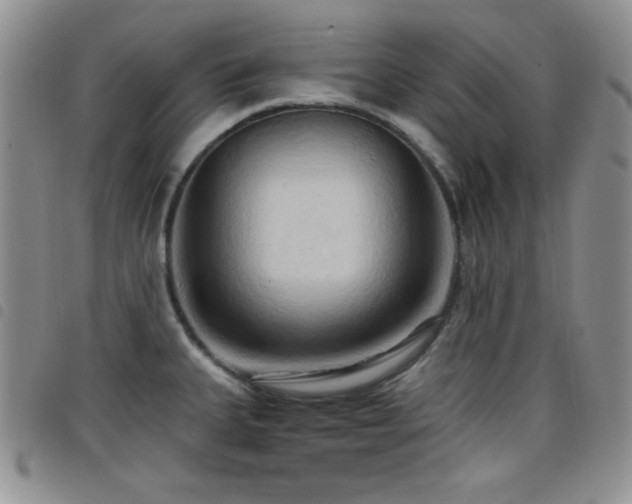 X0000098211335200804241312