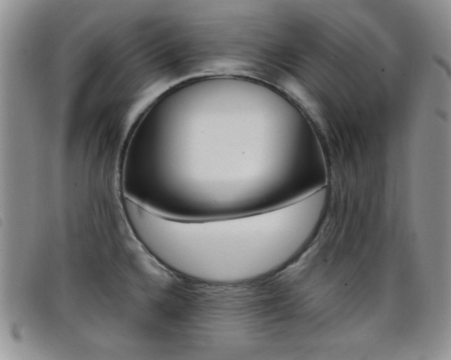 X0000098211336200804241312