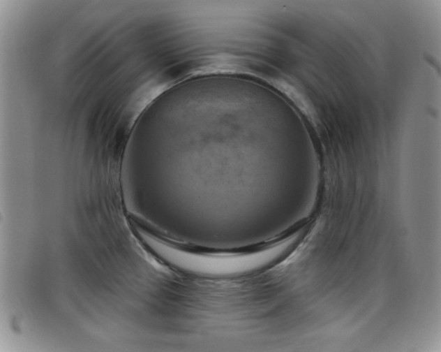 X0000098211337200804241312