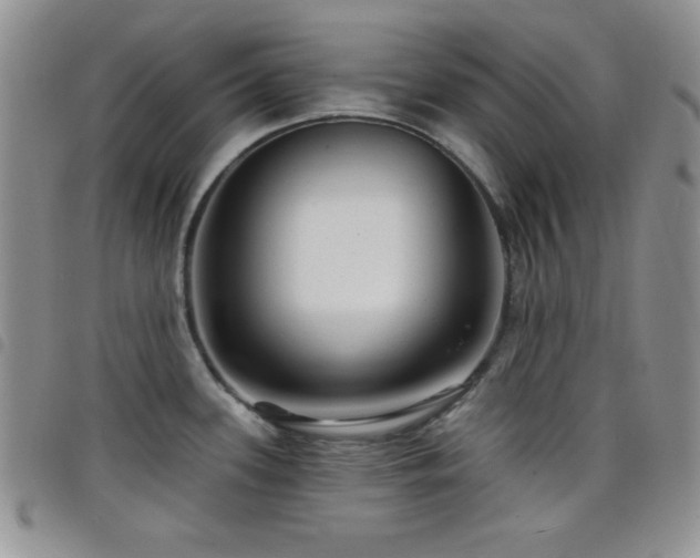 X0000098211339200804241312