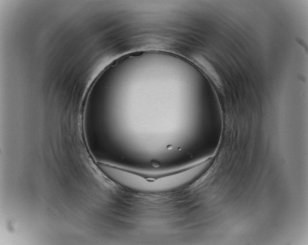 X0000098211340200804241312