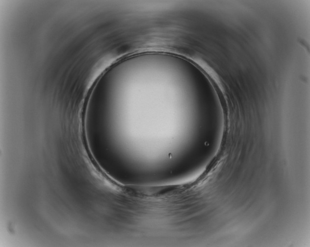 X0000098211341200804241312