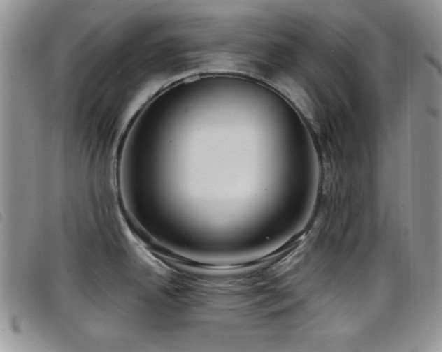 X0000098211342200804241312