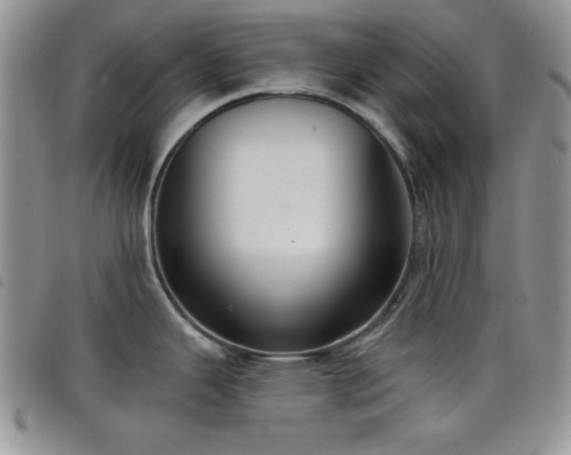 X0000098211343200804241312