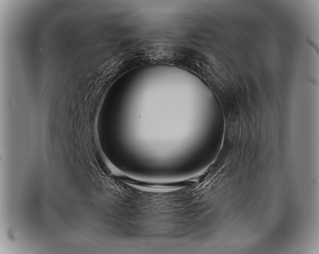 X0000098211345200804241311
