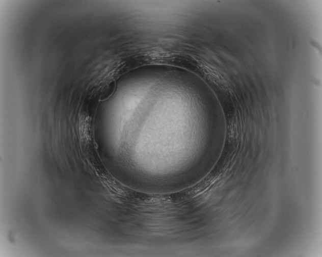 X0000098211346200804241311