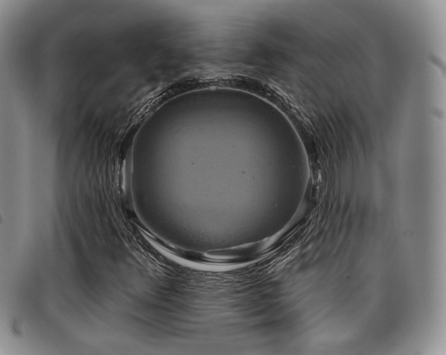X0000098211348200804241311