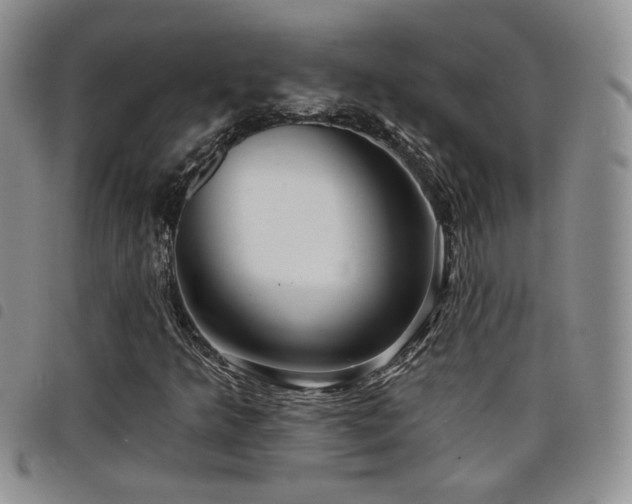 X0000098211349200804241311
