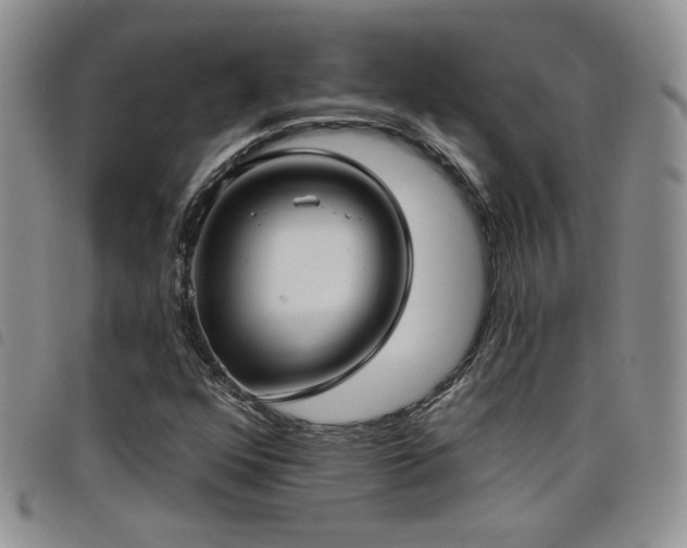 X0000098211352200804241311