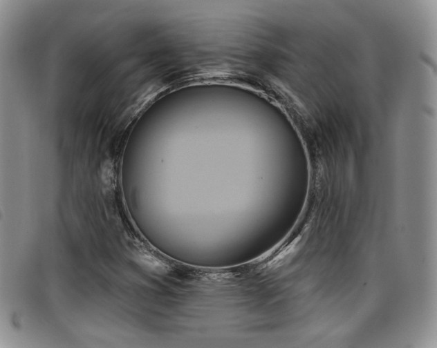 X0000098211353200804241311