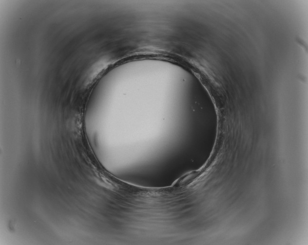 X0000098211355200804241311