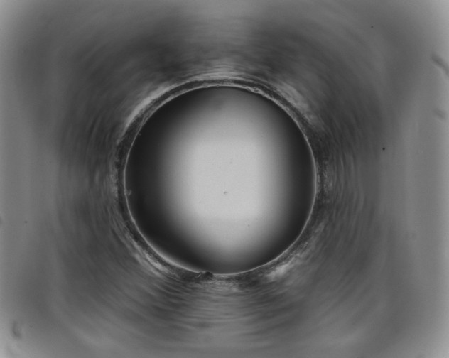 X0000098211356200804241311