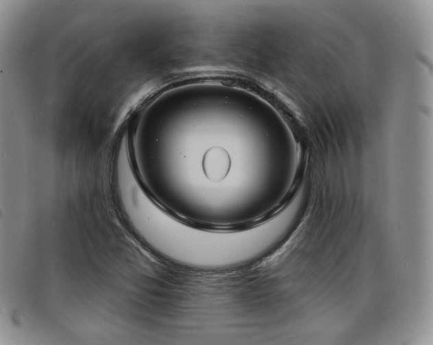 X0000098211357200804241311