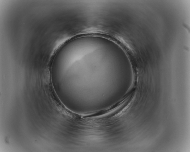 X0000098211358200804241311