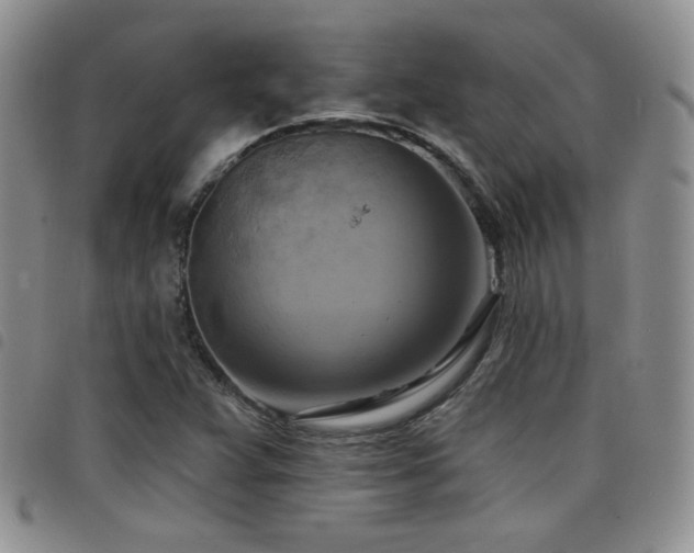 X0000098211359200804241311