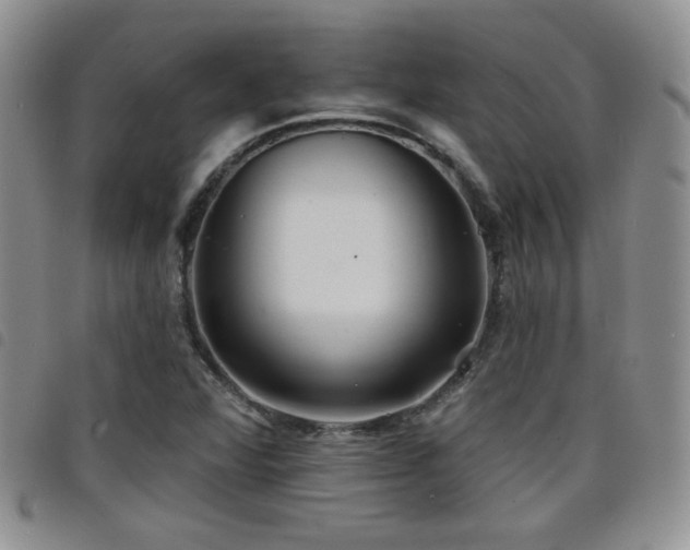 X0000098211360200804241311