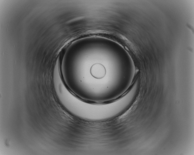 X0000098211361200804241311
