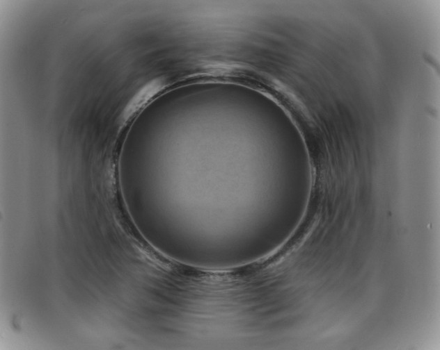 X0000098211362200804241311