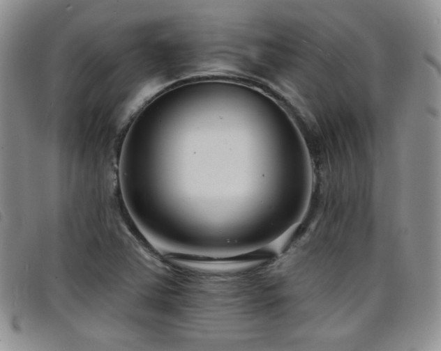 X0000098211363200804241311