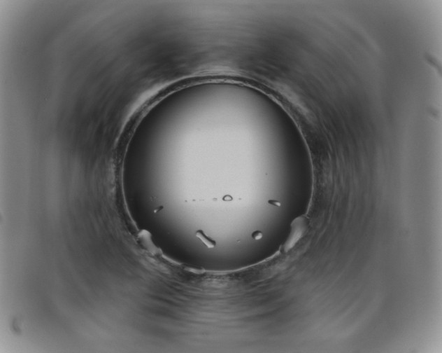 X0000098211364200804241311
