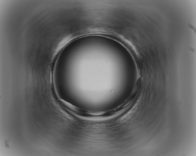 X0000098211365200804241311