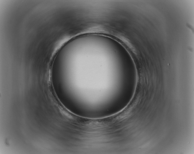 X0000098211366200804241311