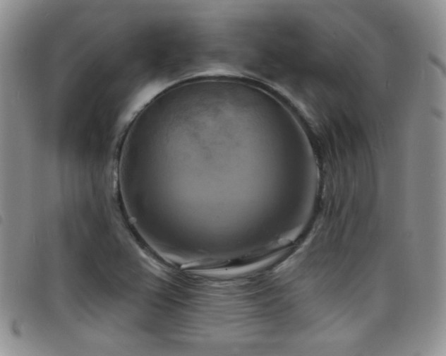 X0000098211367200804241311