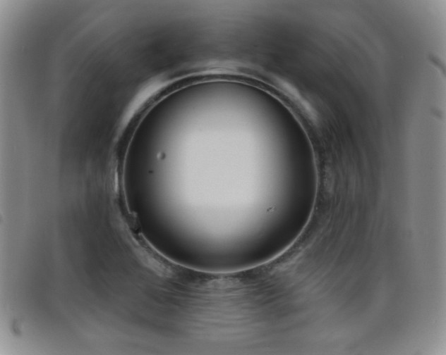 X0000098211368200804241311