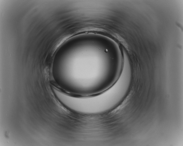 X0000098211369200804241311